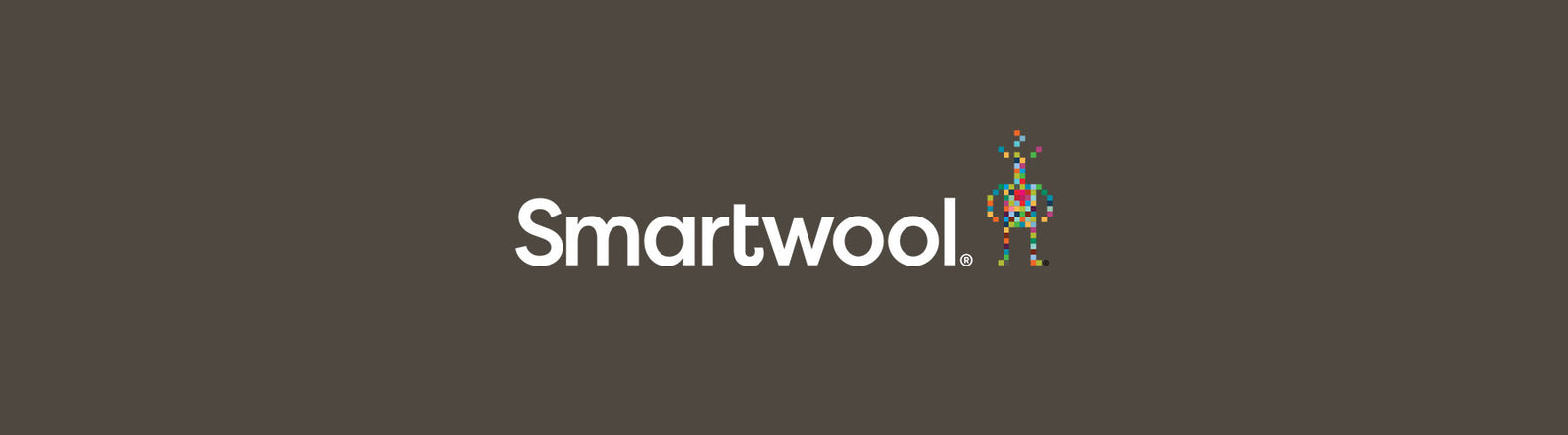 Mens Smartwool Socks