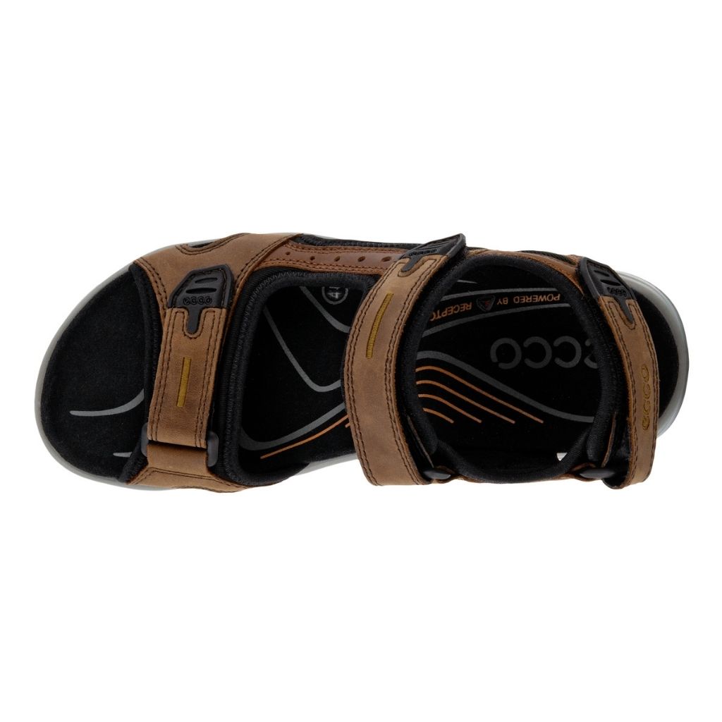 ECCO Offroad - Espresso/Cocoa Brown | Footgear