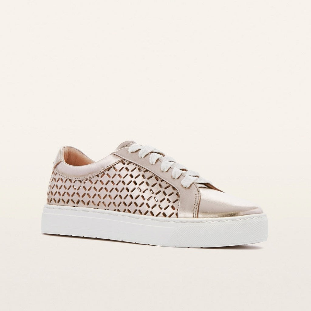 Mim V - Champagne Lattice