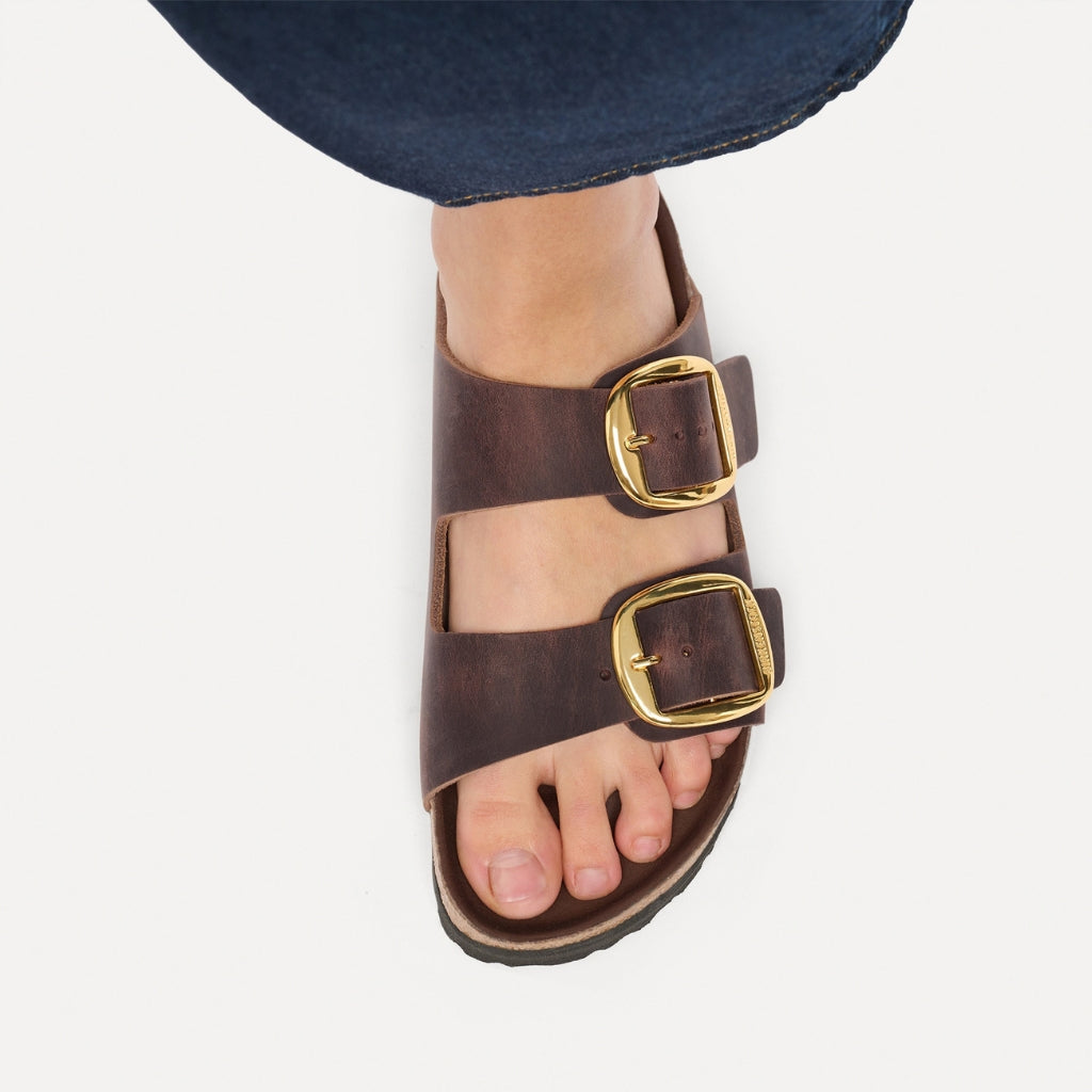 Arizona Oiled Leather Big Buckle - Habana