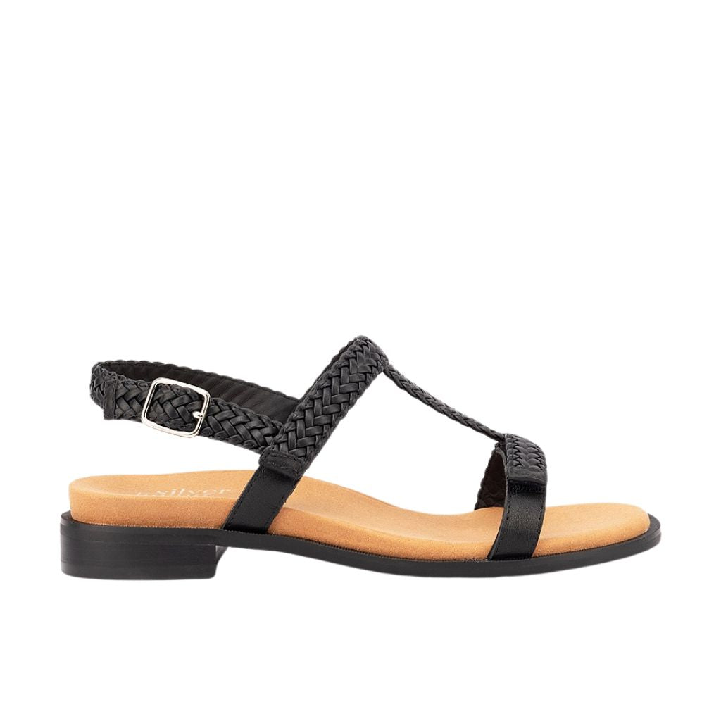 Bardia - Black