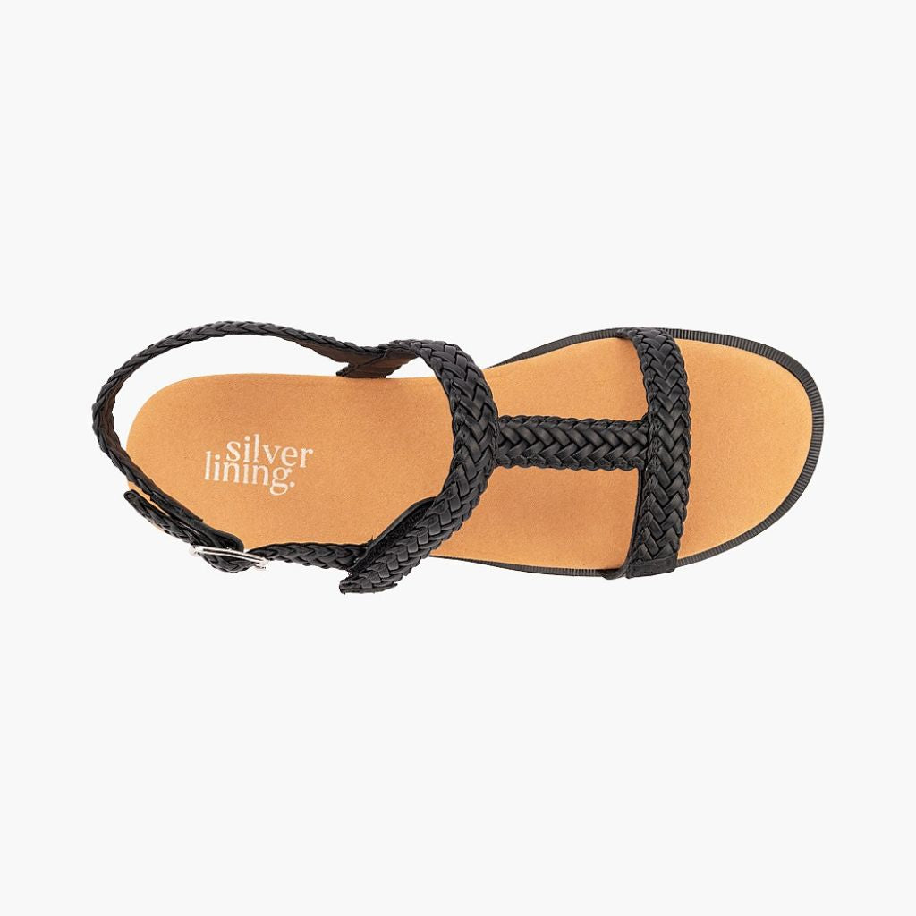 Bardia - Black