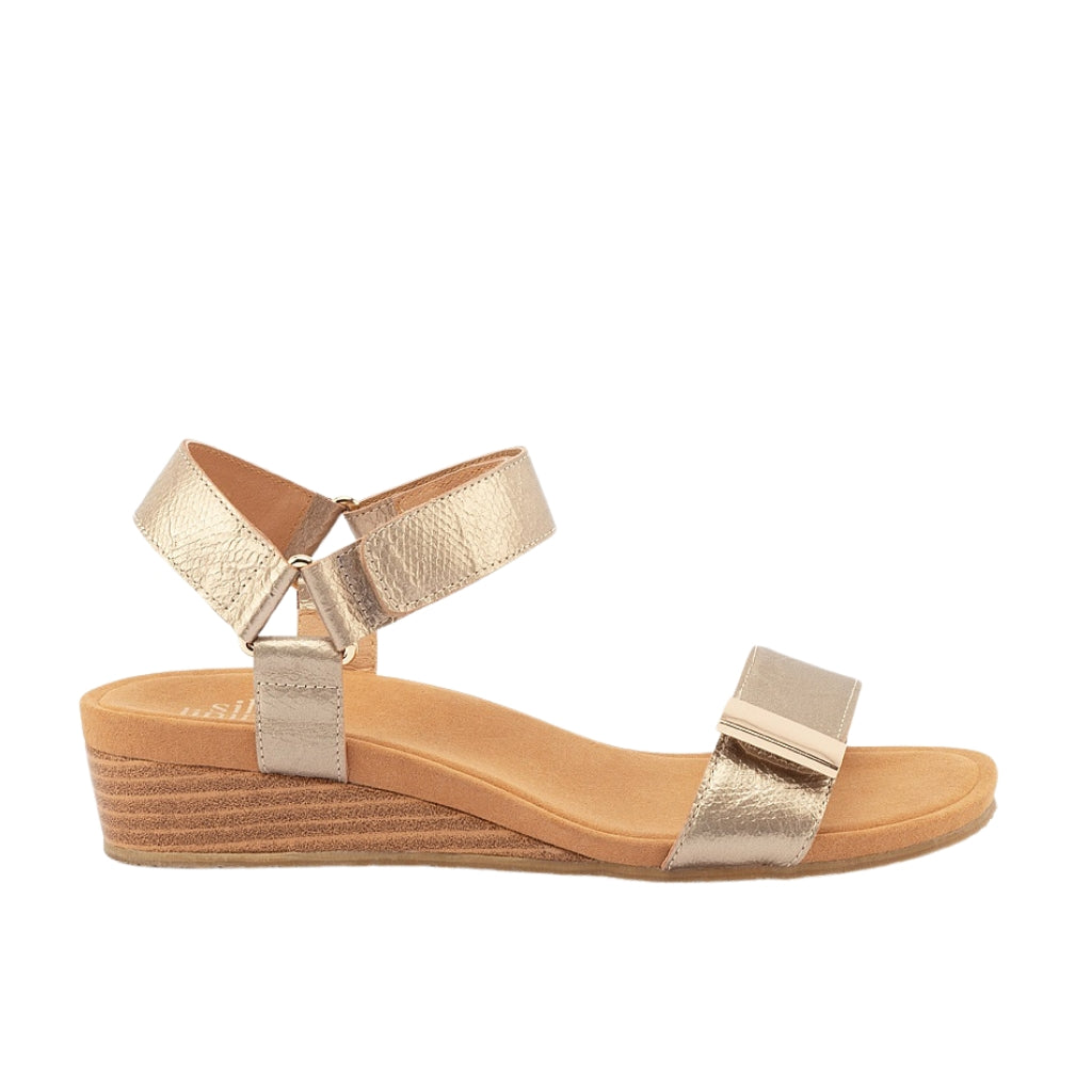 Utica Print - Champagne Spritz