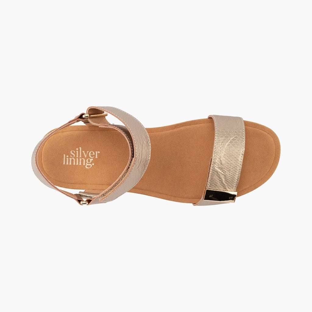 Utica Print - Champagne Spritz
