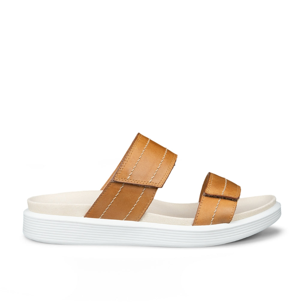 Womens Soft - Lion