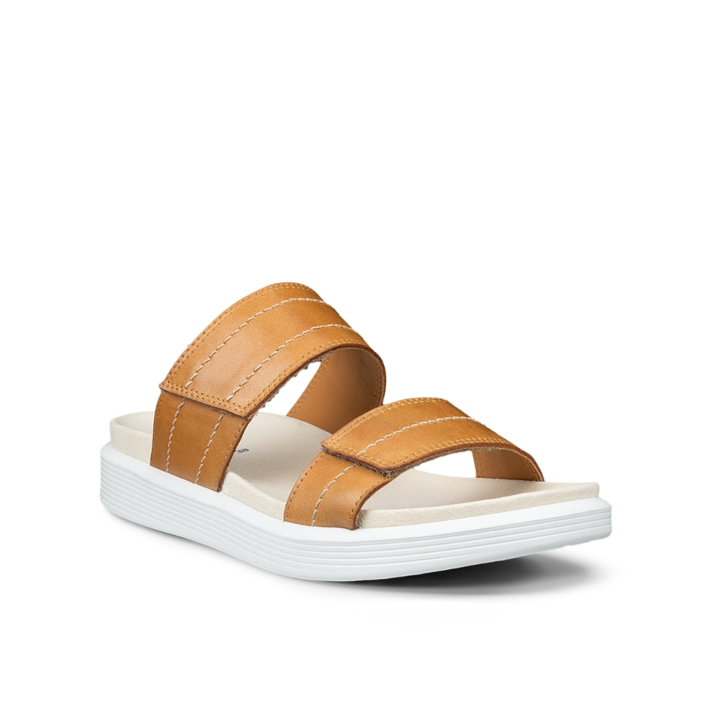 Womens Soft - Lion