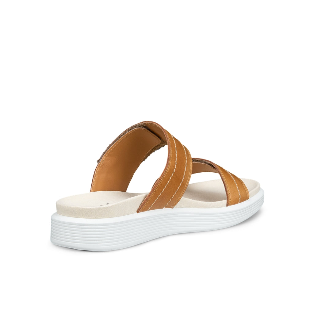 Womens Soft - Lion