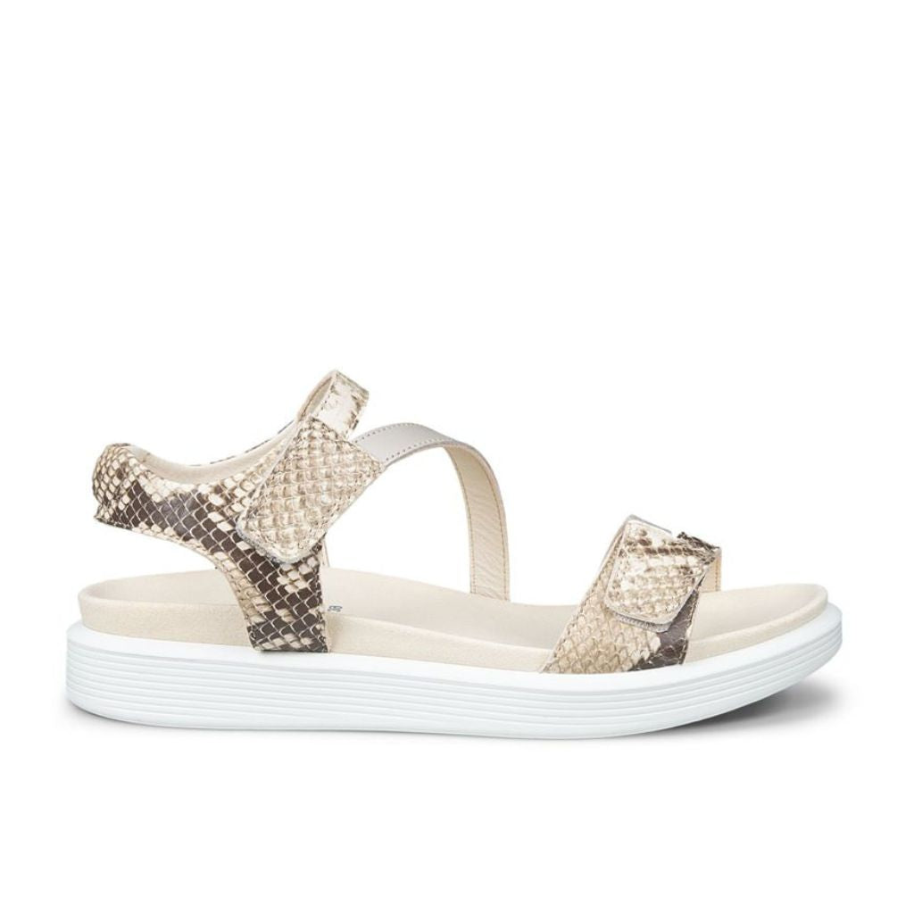 Womens Soft - Pure Cashmere Foil